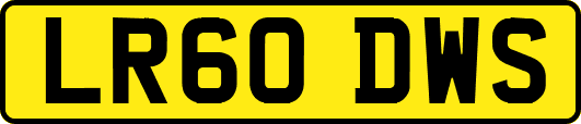 LR60DWS