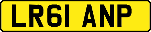 LR61ANP