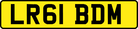 LR61BDM