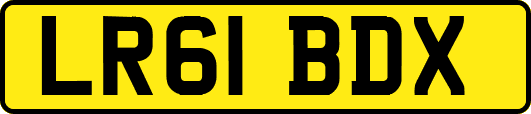 LR61BDX
