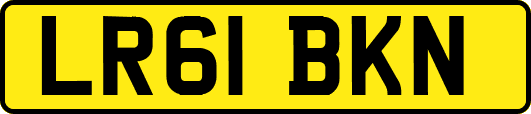 LR61BKN