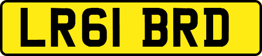 LR61BRD
