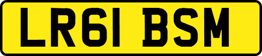 LR61BSM