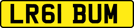 LR61BUM