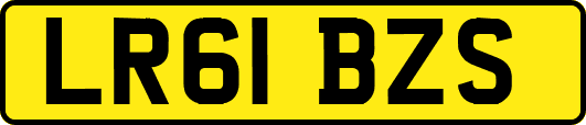 LR61BZS