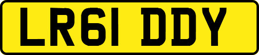 LR61DDY