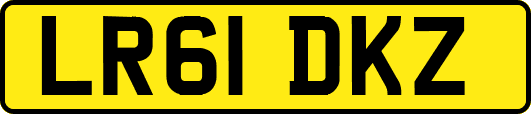 LR61DKZ