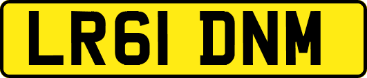 LR61DNM