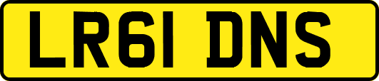 LR61DNS