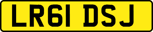 LR61DSJ