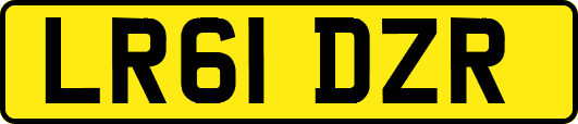 LR61DZR