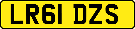 LR61DZS