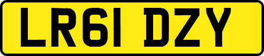 LR61DZY