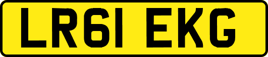LR61EKG