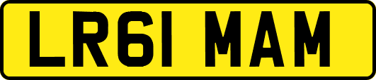 LR61MAM