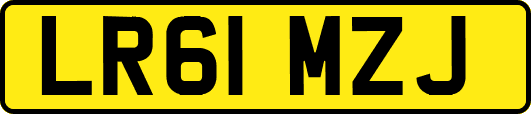 LR61MZJ