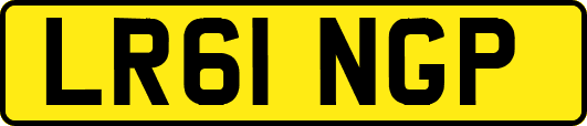 LR61NGP