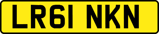 LR61NKN