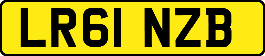 LR61NZB