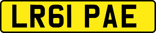 LR61PAE