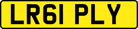 LR61PLY
