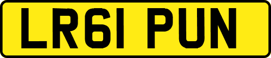 LR61PUN