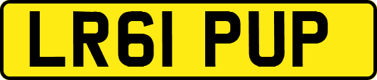 LR61PUP