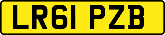 LR61PZB