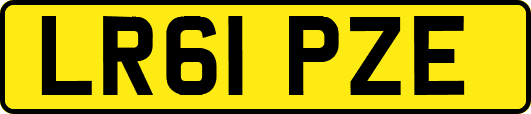 LR61PZE