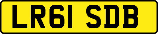 LR61SDB