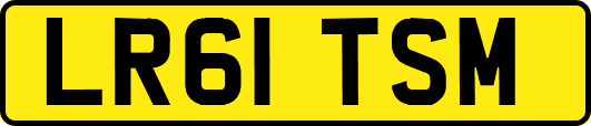 LR61TSM