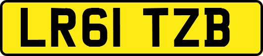 LR61TZB