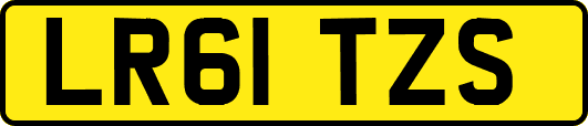 LR61TZS
