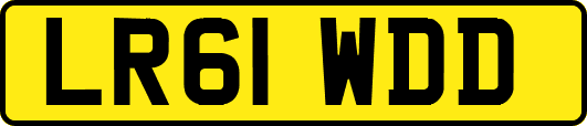 LR61WDD