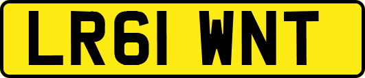 LR61WNT