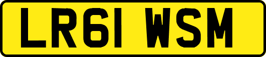 LR61WSM