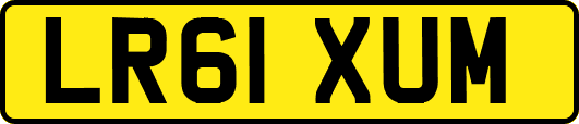LR61XUM