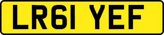 LR61YEF