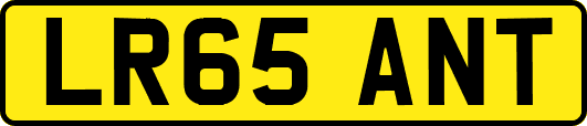 LR65ANT
