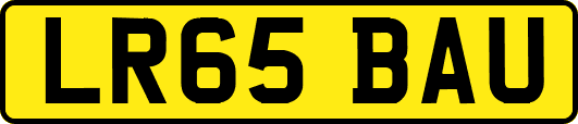 LR65BAU