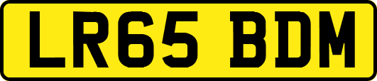 LR65BDM