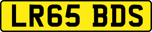 LR65BDS