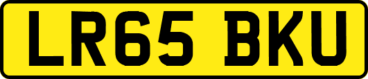 LR65BKU