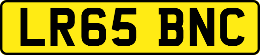 LR65BNC
