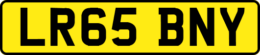 LR65BNY