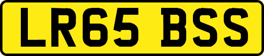 LR65BSS