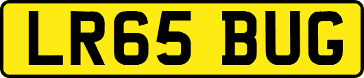 LR65BUG