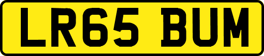LR65BUM
