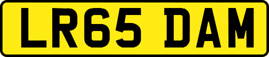 LR65DAM