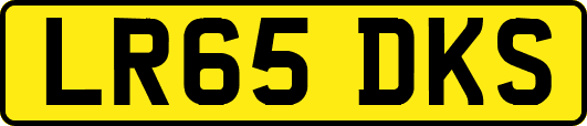 LR65DKS